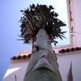 Training in Ordinary Life: Gathering on the Way to Missional Back on May 4, 2009, Jonathan Brink wrote an insightful post on the missional-attractional debate. In it, he concludes that both processes are part of a holistic overall movement exemplified...