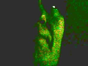 portrait granulated 6