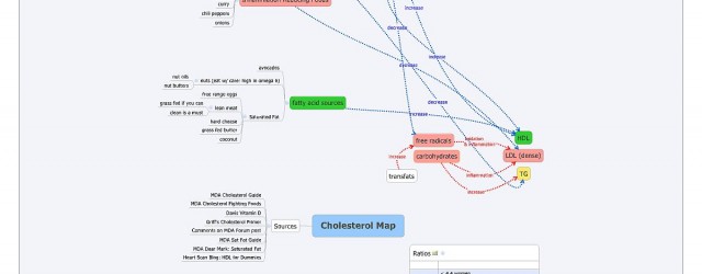 Cholesterol Map v0628