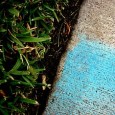 Learning to see: Lessons in blue and green For a few days a couple weeks ago, I saw blue and green everywhere. And nearly every time I saw it, I took a picture. I realize this may seem...