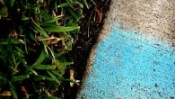 Learning to see: Lessons in blue and green For a few days a couple weeks ago, I saw blue and green everywhere. And nearly every time I saw it, I took a picture. I realize this may seem...