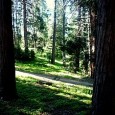 We all have filters that distort our perception of reality and we all need filters to adequately communicate our perceptions and understandings to others. To communicate reality, our filters must...